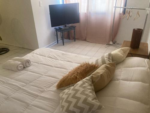 TV a/nebo společenská místnost v ubytování Apartamento Aristides Villanueva