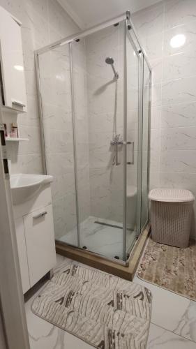 uma casa de banho com uma cabina de duche em vidro e um tapete em Apartman Ena em Bileća