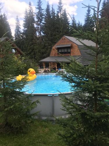 Πισίνα στο ή κοντά στο Cottage Kalinka