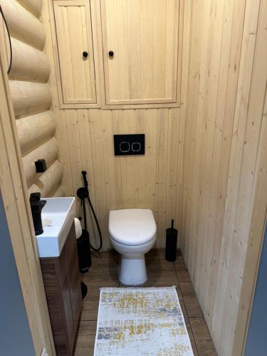 a small bathroom with a toilet and a sink at Бозайгыр in Kuprinka
