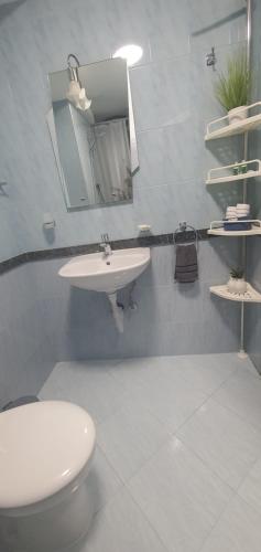 een badkamer met een wastafel, een toilet en een spiegel bij Апартамент Синчец in Sofia