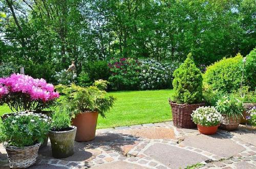 a group of potted plants in a garden at Haus-Archsum in Archsum