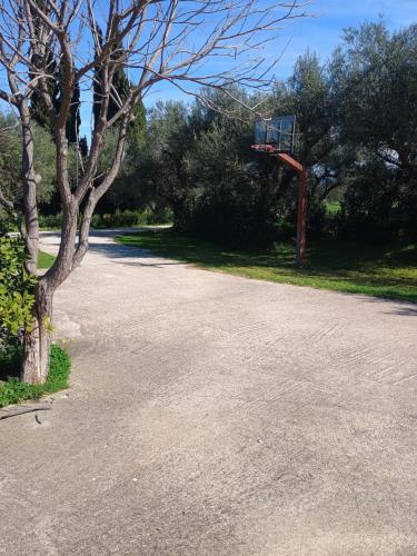 an empty road with a basketball hoop next to a tree at Sophia apartment in Dhrépanon