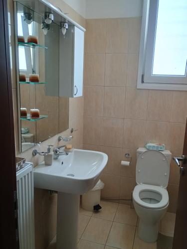 a bathroom with a sink and a toilet at Sophia apartment in Dhrépanon