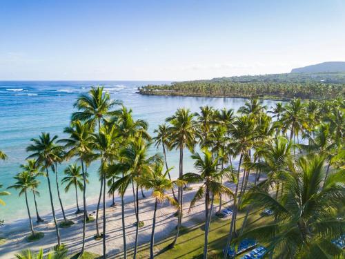 an aerial view of a beach with palm trees at Wyndham Alltra Samana All Inclusive Resort in Las Galeras