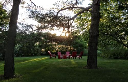 a group of red chairs sitting in a park at County Escape on Corey in Bloomfield