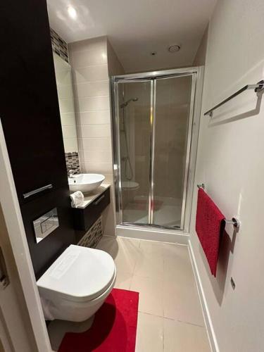 La salle de bains est pourvue d'une douche, de toilettes et d'un lavabo. dans l'établissement 3 bed apartment near CanaryWharf, à Londres