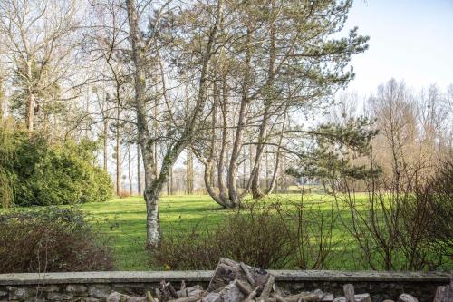 a field with trees and a stone wall at La Marbecque in Samer
