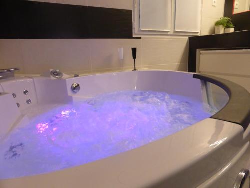a bath tub filled with blue water in a kitchen at Les Oiseaux de Passage in Chaillevois