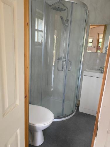 a bathroom with a shower with a toilet and a sink at Letterkenny Cabin in Letterkenny
