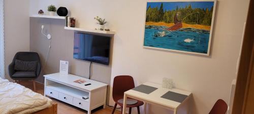 a bedroom with a bed and a desk and a tv at Ubytování Třeboň - apartmány Rožmberk, Svět a Baštýř in Třeboň