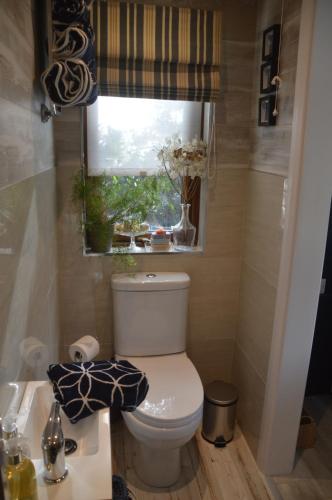 uma pequena casa de banho com um WC e uma janela em Ropewalk Cottage - A Little Treasure By The Coast em Portaferry