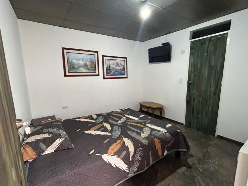a bedroom with a bed and a television in it at Casa de jose in Manizales