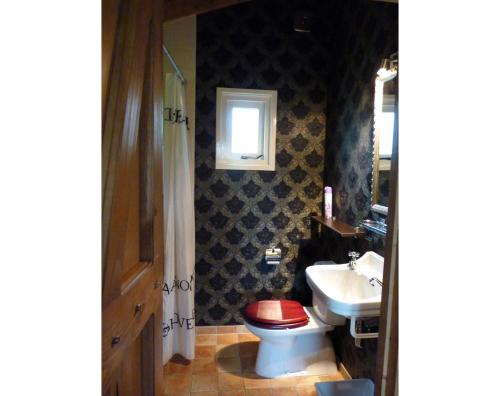 een badkamer met een toilet en een wastafel bij Gastenverblijf Klein Eden in Olterterp