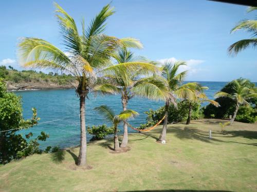 a group of palm trees sitting next to the water at Cabier Ocean Lodge in Crochu
