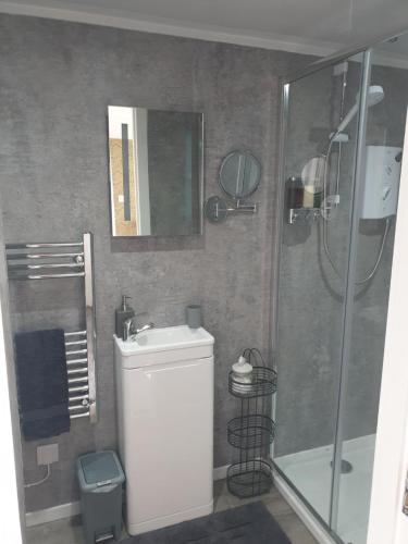 a bathroom with a shower and a toilet and a sink at Craigmount in Wigtown