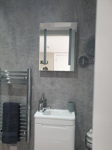a bathroom with a sink and a mirror over a toilet at Craigmount in Wigtown