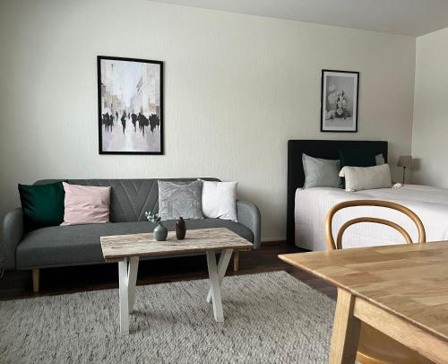 a living room with a couch and a bed at Viihtyisä ja valoisa yksiö keskustan läheisyydessä in Heinola