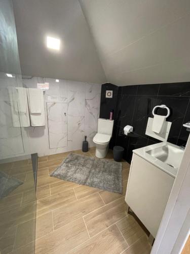a bathroom with a toilet and a sink and a mirror at Dream Home in Calheta