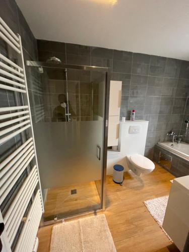 a bathroom with a shower and a toilet at Belle maison idéalement située in Mons