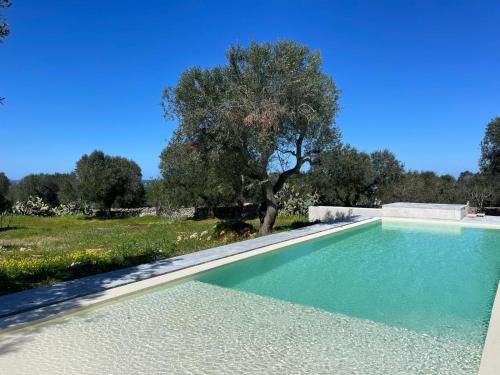 ein Pool im Garten mit einem Baum in der Unterkunft Villa Alba in Carovigno