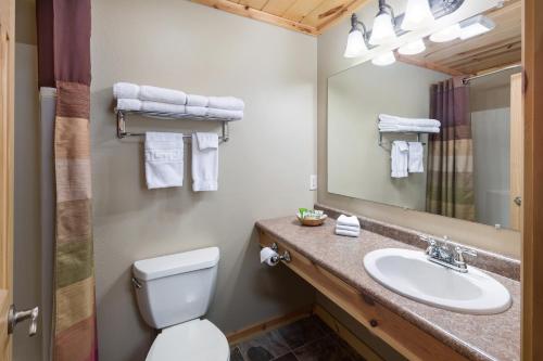 a bathroom with a sink and a toilet and a mirror at Rock Crest Lodge & Cabins in Custer