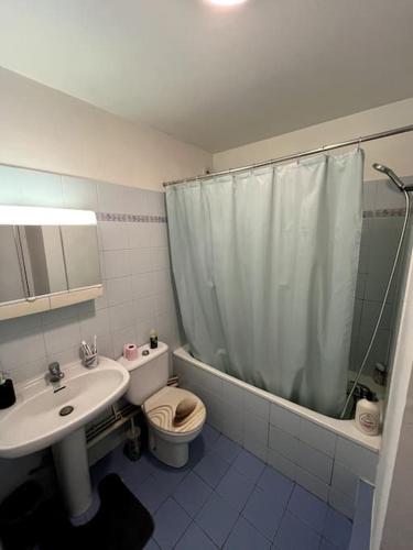 une salle de bain avec un lavabo, des toilettes et une douche dans l'établissement Appartement / Studio avec Balcon, à Bougival