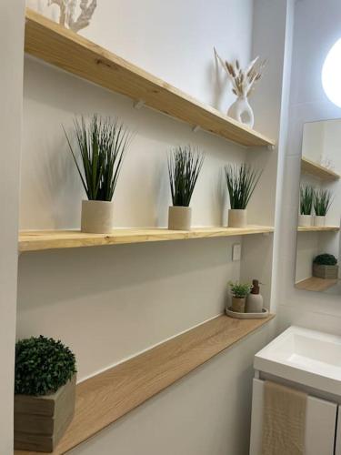 La salle de bains est pourvue d'étagères en bois et de plantes en pot. dans l'établissement Joli appartement avec parking - proche centre ville, à Chartres