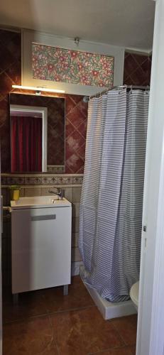 een badkamer met een wastafel en een douchegordijn bij Apartamento Sol y Playa Puerto Naos in Puerto Naos