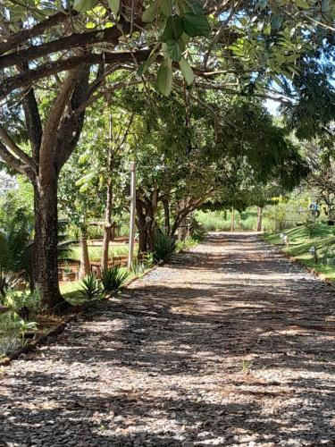 a tree lined dirt road with trees on either side at Chales Recanto das Seriemas in São Roque de Minas