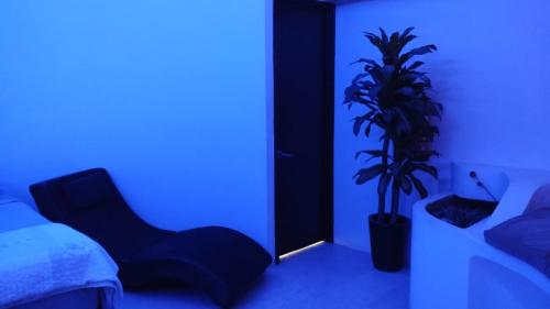 um quarto azul com uma cama e um vaso de plantas em Spa Chaac em Puerto Vallarta