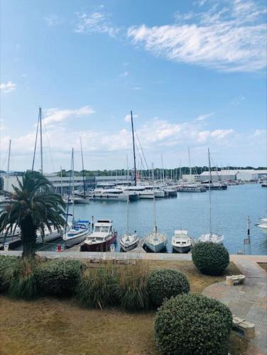 Appartement Cosy vue sur le port