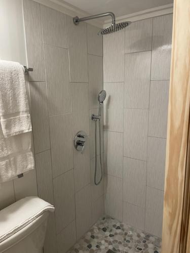a shower stall in a bathroom with a toilet at Sweet Forest Breeze, A Cook Forest Inn in Marienville