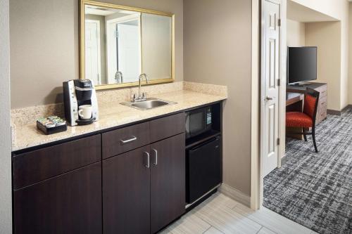 a bathroom with a sink and a mirror at Embassy Suites by Hilton Laredo in Laredo