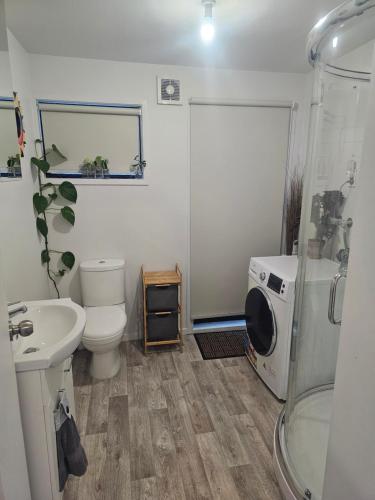 La salle de bains est pourvue d'un lavabo, de toilettes et d'une douche. dans l'établissement The Bunker Torbay, à Auckland