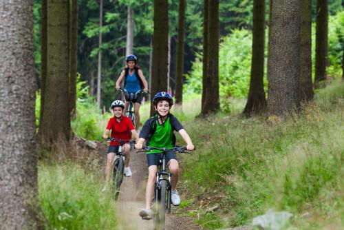 three people riding bikes on a trail in the woods at Chata Anton Günther in Boží Dar