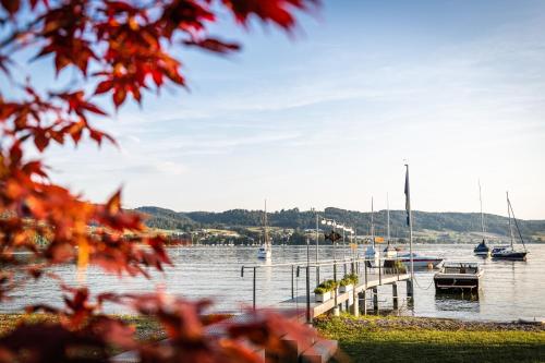 a view of a lake with boats in the water at Residenz Seeterrasse Restaurant & Hotel in Wangen