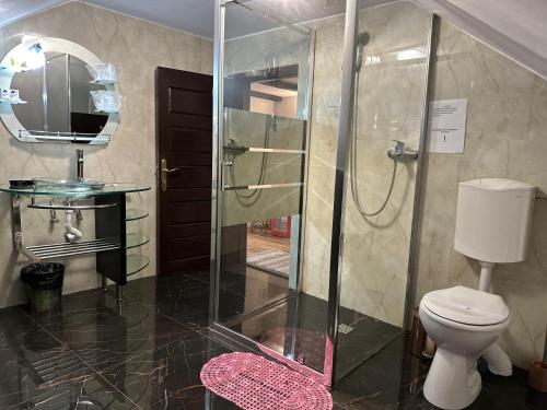 a bathroom with a shower with a toilet and a mirror at Vila Agata in Sinaia