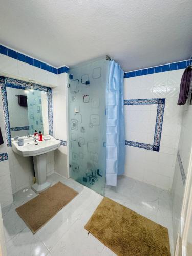 a bathroom with a sink and a shower at La Perle à Marsa Résidence in Tunis