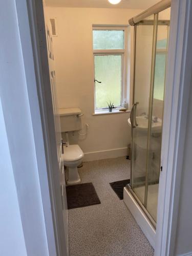 a bathroom with a toilet and a sink and a window at Rose lodge in Dublin