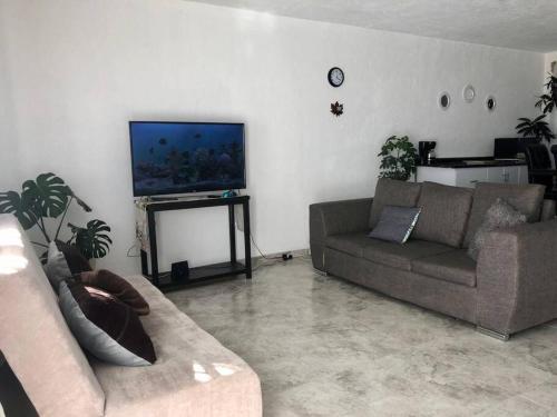 uma sala de estar com um sofá e uma televisão de ecrã plano em Casa amplia y Cómoda em Chapulco