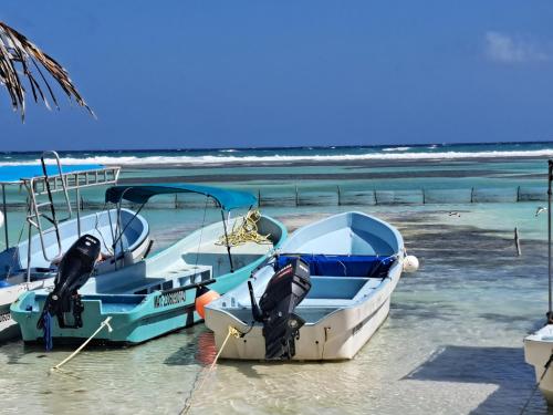 dos barcos están atracados en la playa en Hidden Jems Mahahual Hotel & Hostel en Mahahual