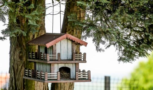 a bird house hanging from a tree at LA MIA STORIA in Beretinec