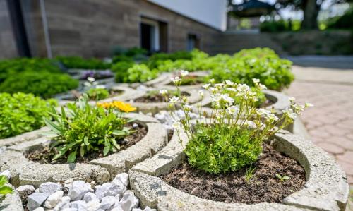 a garden with some flowers and rocks and plants at LA MIA STORIA in Beretinec