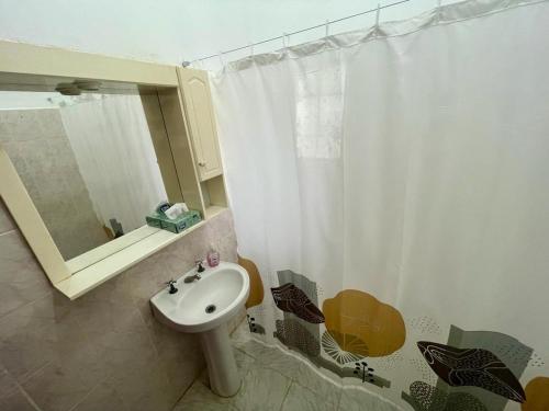 baño con lavabo y cortina de ducha en La Casa de Agos en La Rioja
