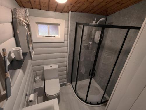 Ванна кімната в Serene Snowdonia Retreat