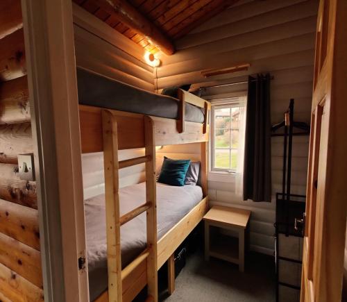 TrawsfynyddにあるSerene Snowdonia Retreatのログキャビン内のベッドルーム1室(二段ベッド付)