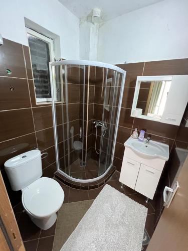 a bathroom with a shower and a toilet and a sink at Apartments Nautilus in Ulcinj
