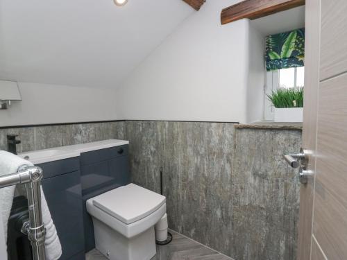 a bathroom with a toilet and a window at Howgill House in Sedbergh