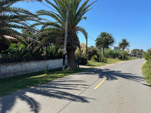 a palm tree on the side of a road at Hermosa con vista al mar in Cuchilla Alta